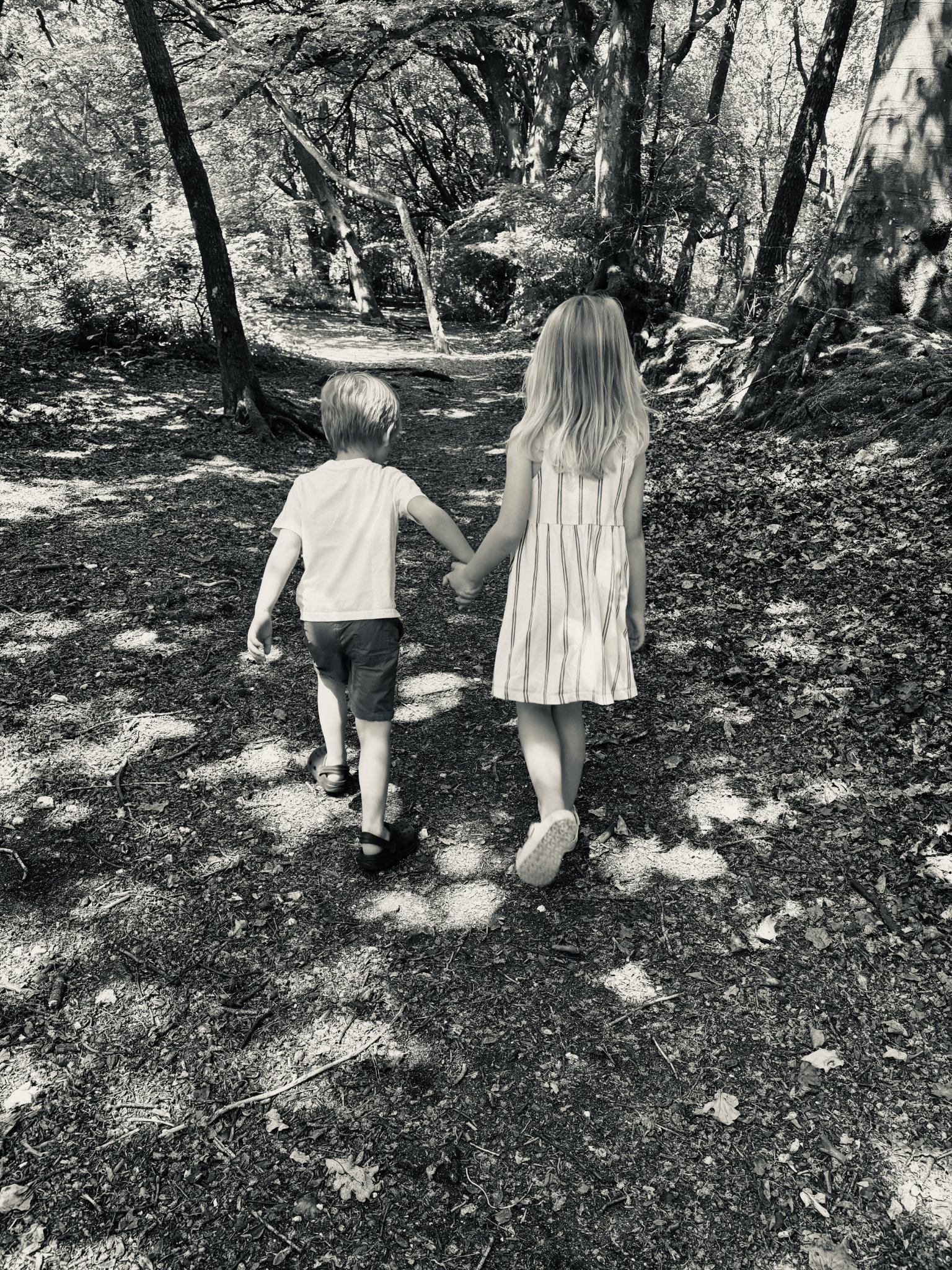 Two children walking through the forest together hand in hand.
